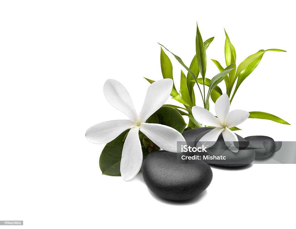 El Spa Vida con flores blancas - Foto de stock de Bambú - Familia de la Hierba libre de derechos