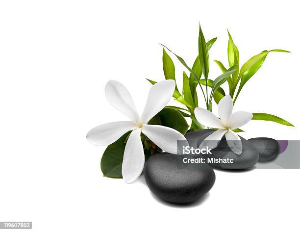 스파 정물 사진 흰색 꽃 0명에 대한 스톡 사진 및 기타 이미지 - 0명, 검은색, 균형