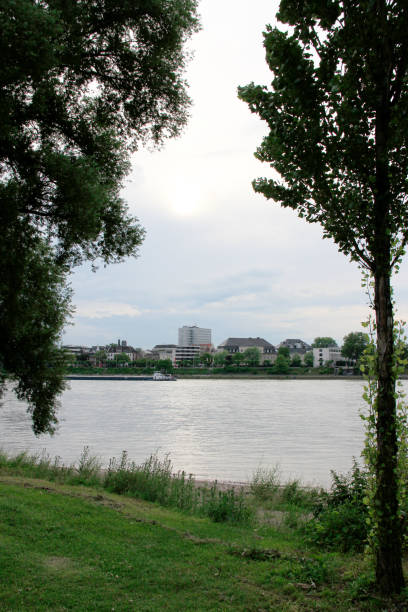 istock View over the River Rhine to Cologne 1196079493