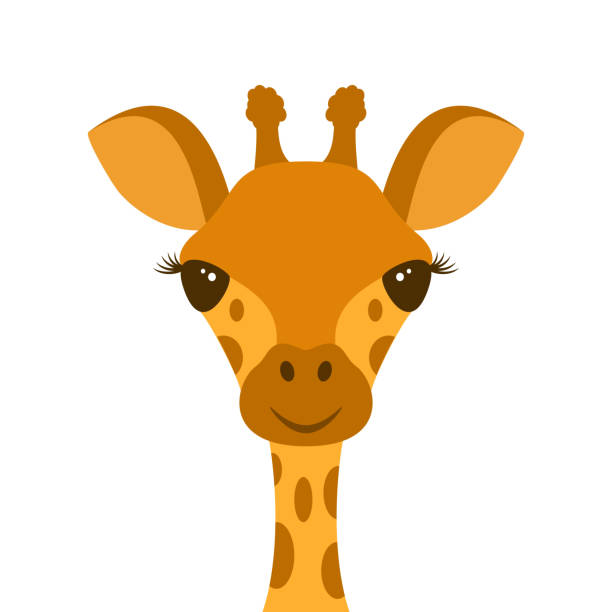 illustrazioni stock, clip art, cartoni animati e icone di tendenza di testa di giraffa carina - giraffa ungulato