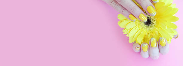 istock female hands manicure gerbera flower on a colored background 1196081966