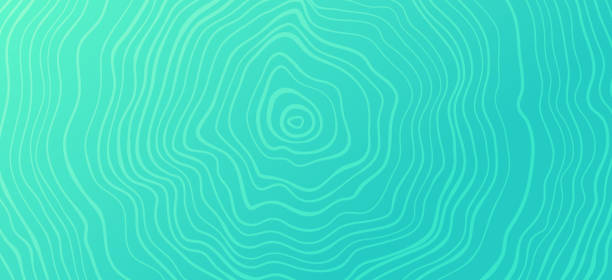 Tree Rings Abstract Pattern Background Tree rings green abstract lines concentric circle background. tree rings texture stock illustrations