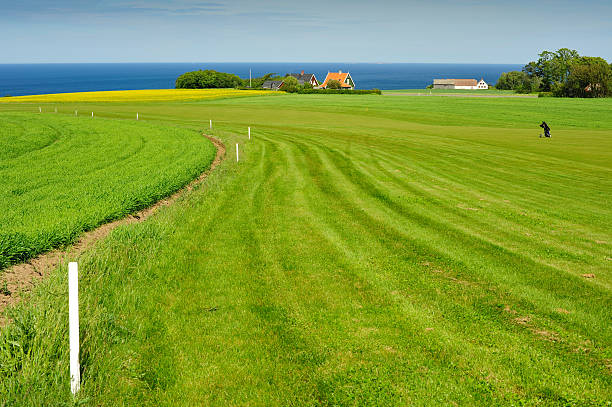 campo da golf sull'isola di bornholm - 4724 foto e immagini stock