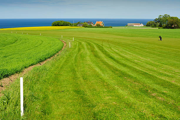 campo de golfe na ilha bornholm - 4724 imagens e fotografias de stock