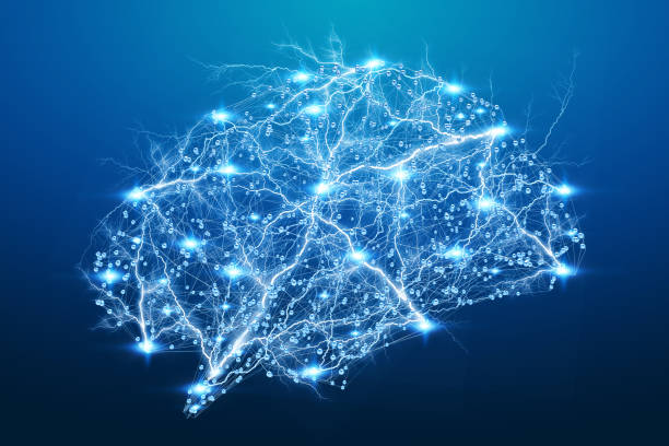 cérebro humano digital do raio x na rendição 3d do fundo azul - synapse - fotografias e filmes do acervo