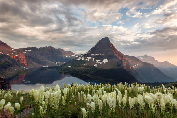 parc national des glaciers - lac caché avec le premier plan de beargrass - landscape montana wildflower flower photos et images de collection