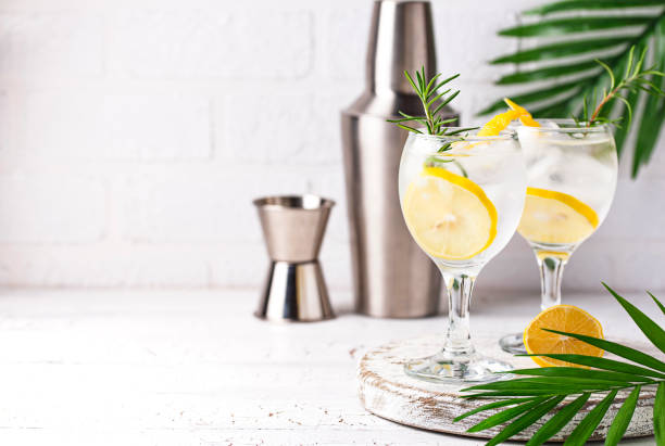 Gin tonic cocktail with lemon Gin tonic cocktail with ice and lemon gin tonic stock pictures, royalty-free photos & images