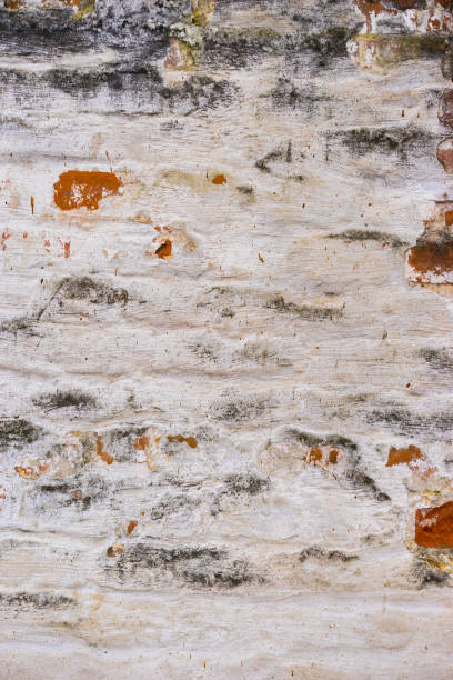 istock brick red and white wall and house background. brick house. 1196088715