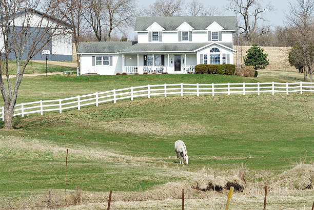 istock Grazing Horse on Farm 119609263