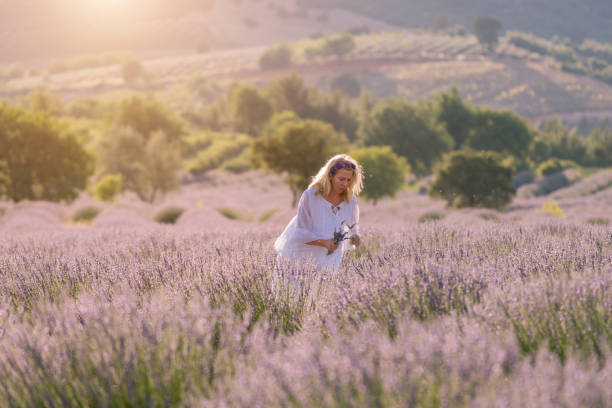 istock Happy women picking up lavender flower 1196096487