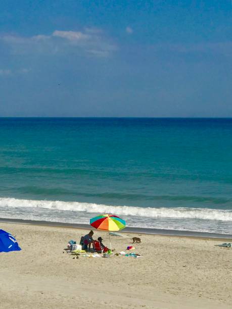 istock Colorful umbrella on the beach 1196098146