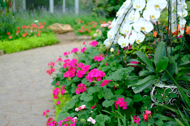 istock walkway in flower garden park 1196098879