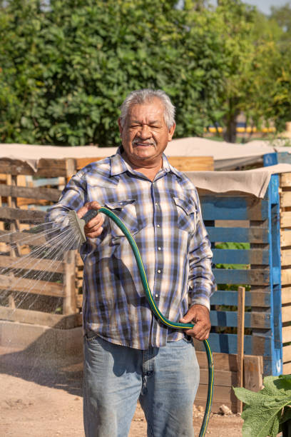istock Hispanic Man Watering with a Hose in a Community Garden 1196106824
