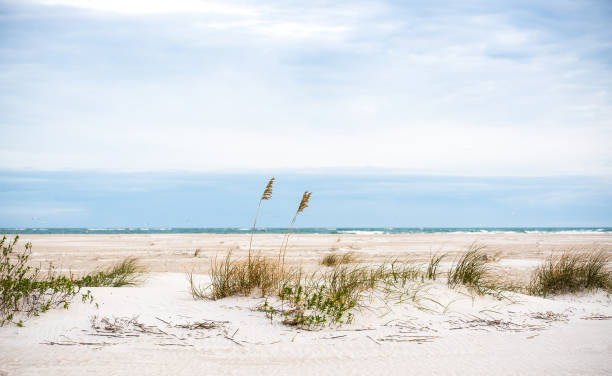 istock Beach Landscapes Topsail Inlet 1196106910