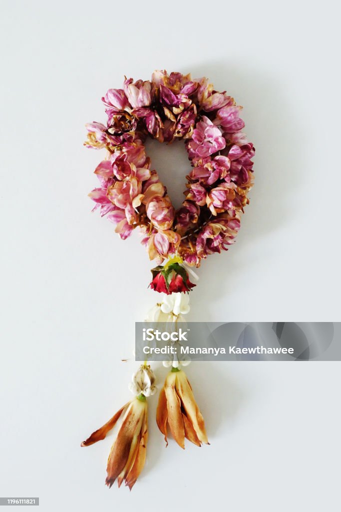 Guirnalda De Jazmín Tradicional Tailandesa Seca Sobre Textura De Fondo Blanco Flores Secas Y Flora Rosas Rojas Jazmines Blancas Y Marrones Símbolo De Monje O Buda Foto de stock y más banco Guirnalda De Jazmín Tradicional Tailandesa Seca Sobre Textura De Fondo Blanco Flores Secas Y Flora Rosas Rojas Jazmines Blancas Y Marrones Símbolo De Monje O Buda Foto de stock y más banco