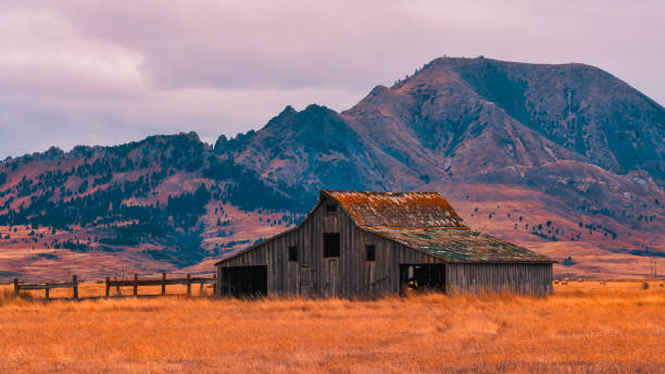 istock old barn with mountain in background 1196114695