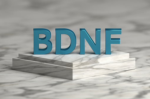 Abbreviation BDNF standing for Brain-derived neurotrophic factor in bold blue letters standing on marble pedestal. 3d illustration.