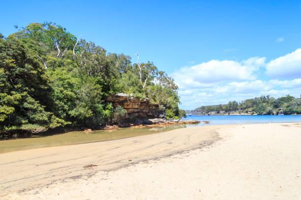istock Collins Flat Beach, Sydney Harbour National Park, 1196120006