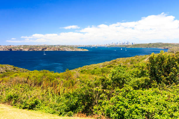 istock View of Sydney Harbor from North Point 1196120008