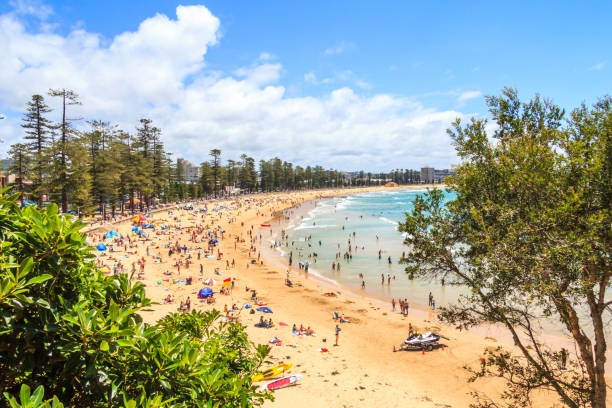 istock People sunbathing and enjoying Manly beach 1196120024