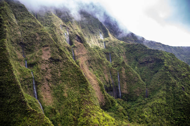 istock Interior Scenery - Kauai - Hawaii - USA 1196120130