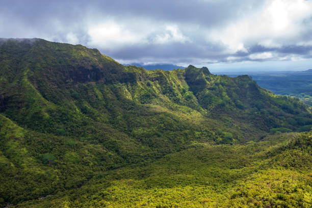 istock Interior Scenery - Kauai - Hawaii - USA 1196120139