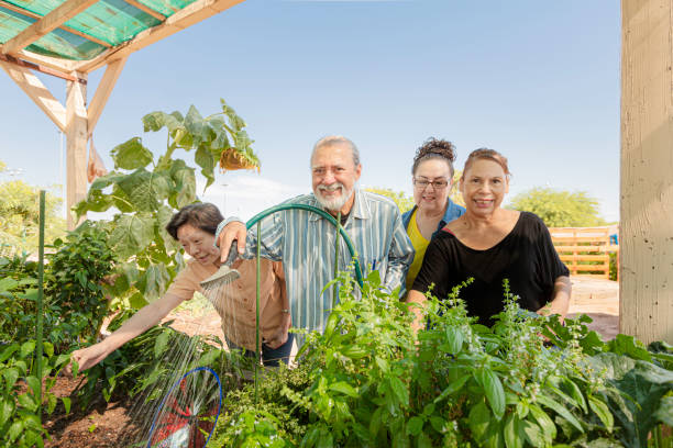 istock Seniors Working Together in a Community Garden 1196120150