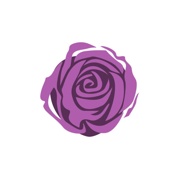 illustrazioni stock, clip art, cartoni animati e icone di tendenza di vettore modello di modello di icona fiore rosa viola isolato - aromatherapist