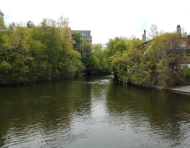 istock calm river or stream water and trees with buildings 1196120803