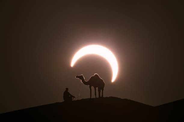 annular solar eclipse with a silhouette of a camel. - liwa desert imagens e fotografias de stock