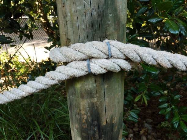 istock wooden post or pole with rope tied around it 1196120850