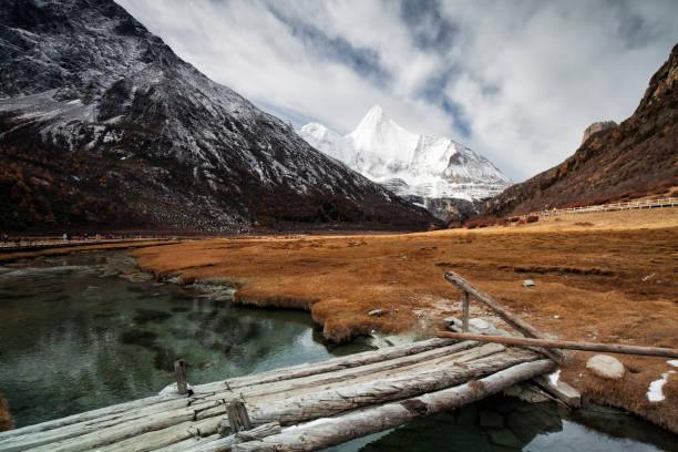 daocheng yading nature reserve im herbst, sichuan, china - larch tree stone landscape sky stock-fotos und bilder