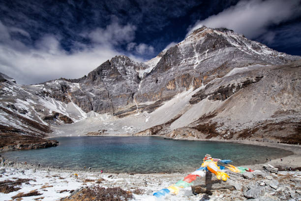 daocheng yading nature reserve im herbst, sichuan, china - larch tree stone landscape sky stock-fotos und bilder