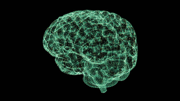 istock Holographic Display of Advance Human Biomedical Diagnostic - Brain 1196123789