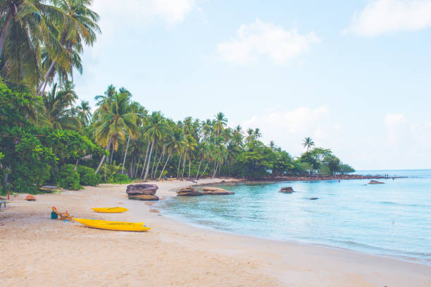 istock Beach with kayaks and coconut trees 1196126428