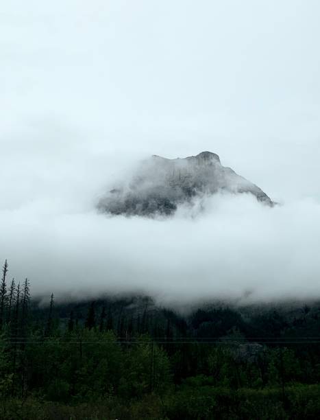 A fog rolls over the forests and underneath the tops of the mountains