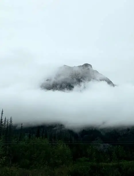 Photo of Low fog over the mountains