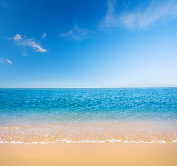 istock beach and tropical sea 119613428
