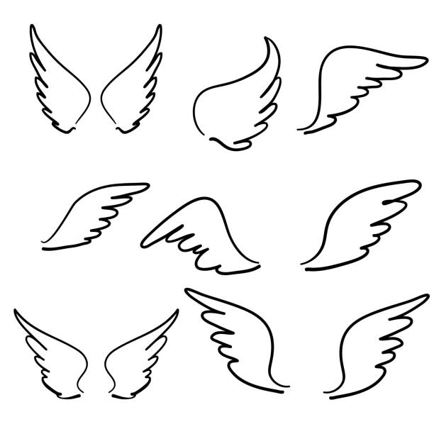 ilustraciones, imágenes clip art, dibujos animados e iconos de stock de doodle dibujado a mano sketch alas de ángel. ala de pluma de ángel, silueta de tatuaje de pájaro. ángeles aladas de mosca lineal, iconos vectoriales de dibujos animados del cielo volador - alas angel