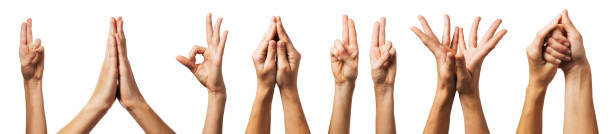 istock Set of various yoga mudra isolated on white background 1196144042