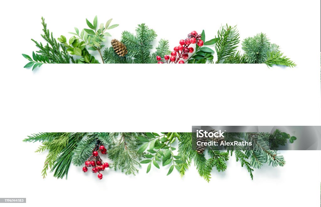 Flache Lay-Zusammensetzung mit Wintertannenzweigen, Zapfen, Holly isoliert auf weißem Hintergrund - Lizenzfrei Weihnachten Stock-Foto