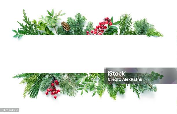 Flache Layzusammensetzung Mit Wintertannenzweigen Zapfen Holly Isoliert Auf Weißem Hintergrund Stockfoto und mehr Bilder von Weihnachten