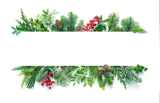 Composición plana con ramas de abeto de invierno, conos, acebo aislado sobre fondo blanco photo