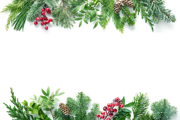 istock Flat lay composition with winter fir branches, cones, holly isolated on white background 1196144184