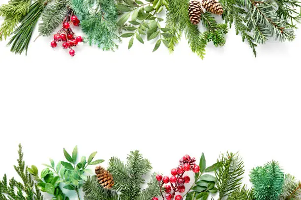 Photo of Flat lay composition with winter fir branches, cones, holly isolated on white background