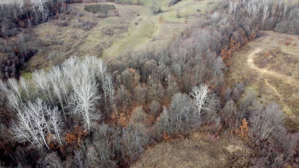 istock Hills and valleys photographed from above 1196150188