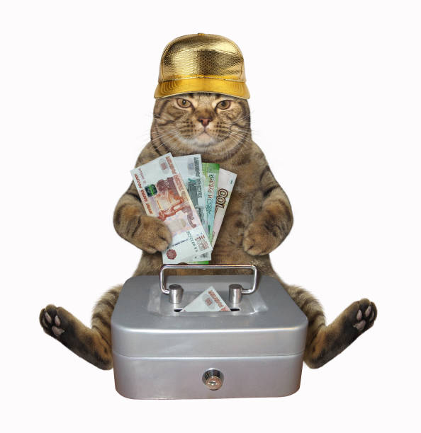 istock Cat puts rubles in metal safe 2 1196155166