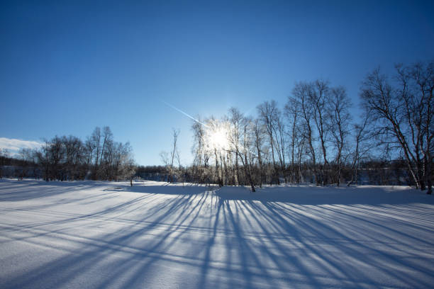 a wintry landscape
