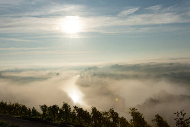 View onto Main river hardly visible through the fog shortly after sunrise with some reflections of sunshine