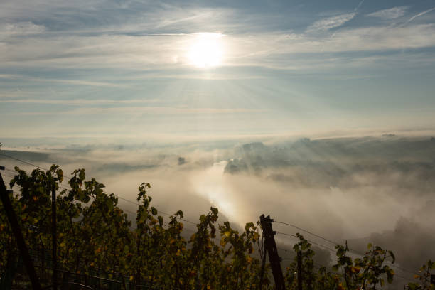 istock View onto Main river hardly visible through the fog 1196156359